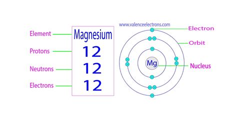 magnesium number of neutrons|How Many Protons,Neutrons and Electrons Does .